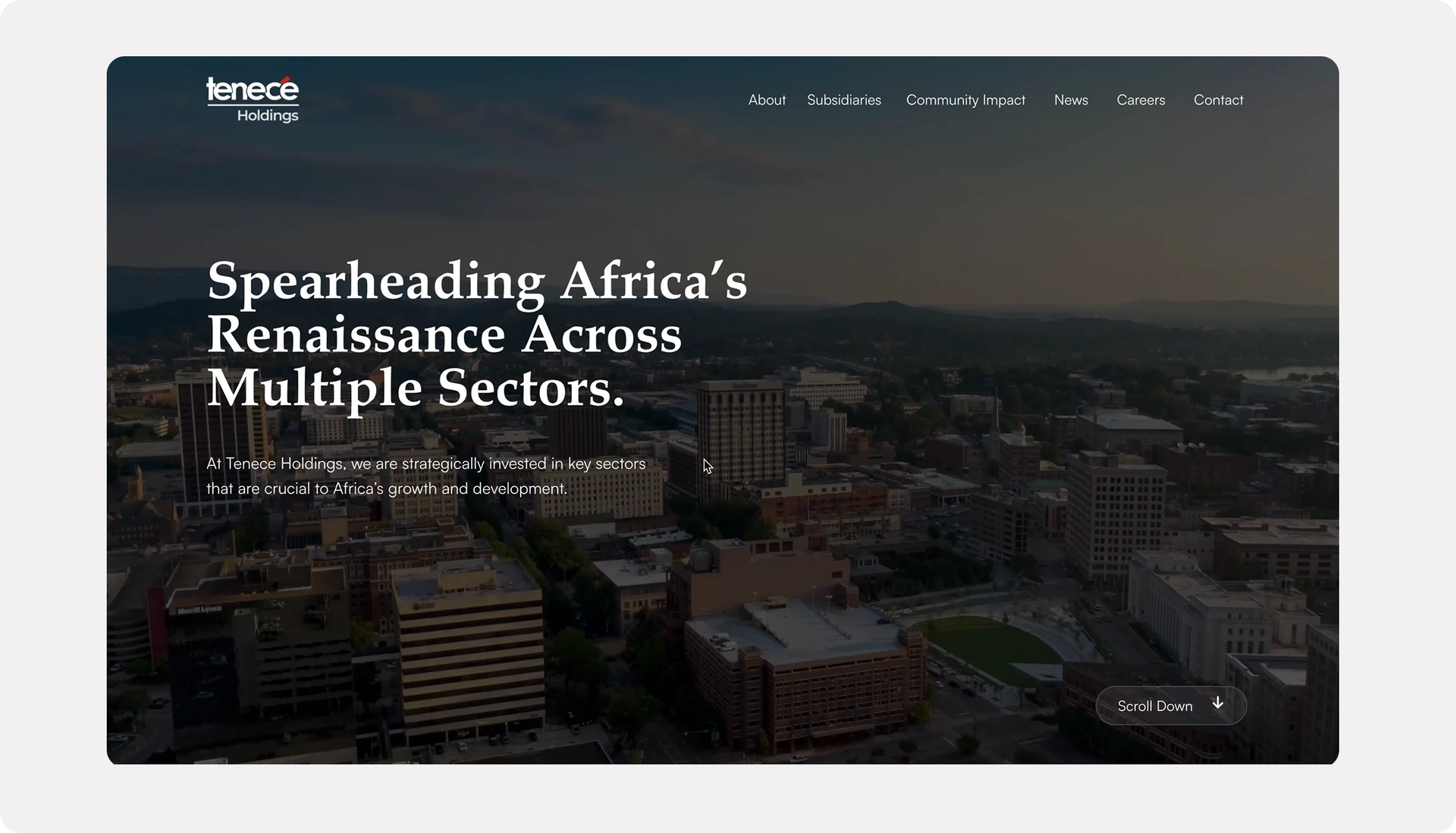 Tenece Holdings